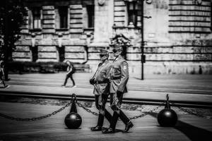 kenny-luo-D6zgp87zfpM-unsplash